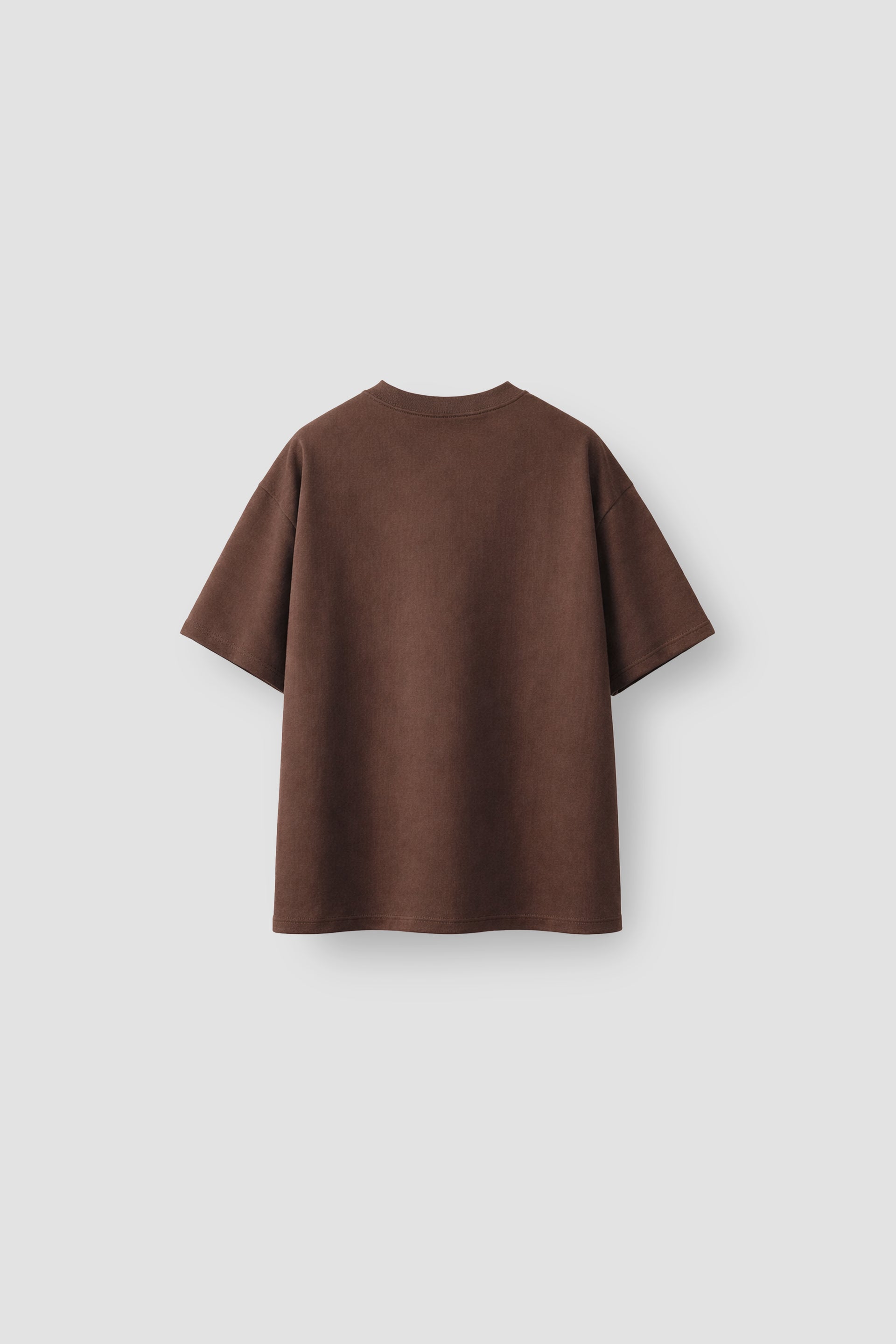 Shop FLEX BROWN T-SHIRT Online in Pakistan